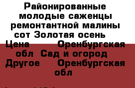 Районированные молодые саженцы ремонтантной малины сот Золотая осень. › Цена ­ 30 - Оренбургская обл. Сад и огород » Другое   . Оренбургская обл.